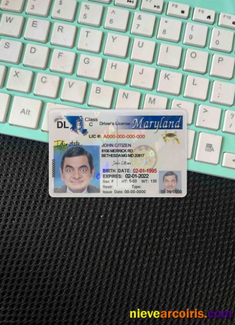 USA Maryland driving license 2003-2016 photolook